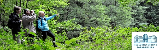 Exkursion in den nördlichen “Urwald” bei Saarbrücken