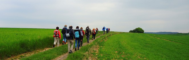 EWS-Wanderung "Rund um den Hoheberg bei Merzig"