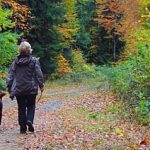 EWS-Wanderung "Römische Steinbrüche im Tal der Eichen"
