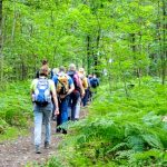 EWS Single-Wanderung „Über den Bosenberg ins Tiefenbachtal“