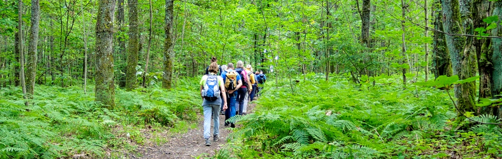EWS Single-Wanderung „Über den Bosenberg ins Tiefenbachtal“
