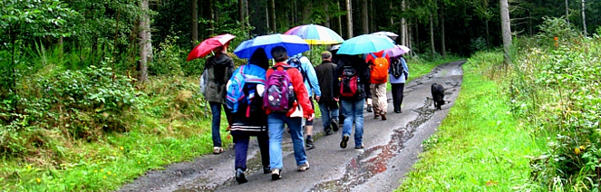 Abgesagt! EWS-Wanderung "Unterwegs an Hirsch-, Wald- und Netzbach"
