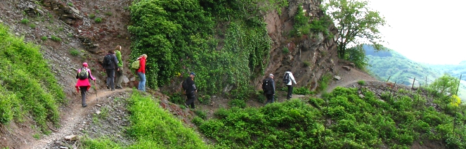 Aufregende Single-Wanderung „Wander- und Kletterspaß an der Mosel"