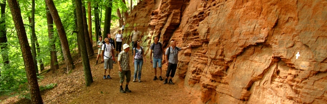 ABGESAGT! EWS-Single-Wanderung zum größten Buntsandsteinmassiv der Pfalz