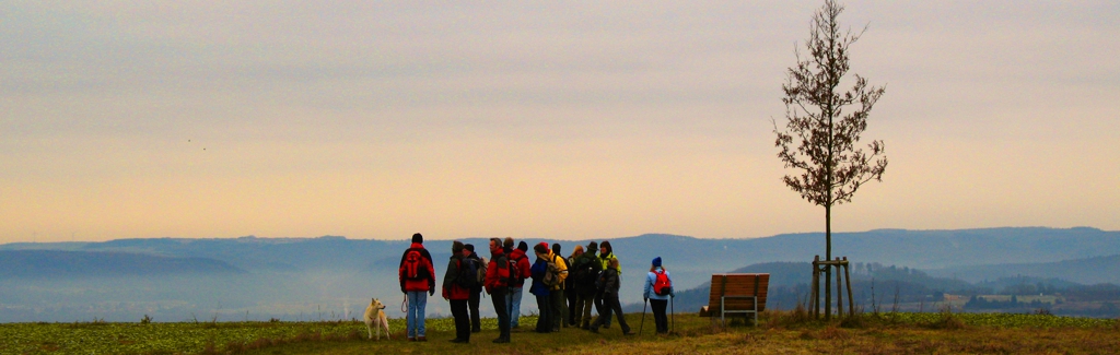 EWS Single-Wanderung "Schöne Ausblicke ins Tal der Saar!"