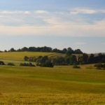 Herbstliche Single-Wanderung “Unterwegs im St. Wendeler Land”