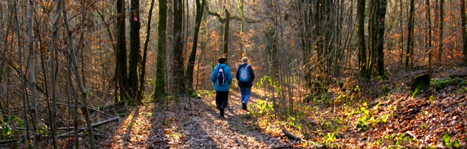Sagenhafte Single-Wanderung "In der stillen Landschaft bei Oberthal"