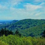 EWS-Wanderung "Zum höchsten Aussichtspunkt Saarbrückens"