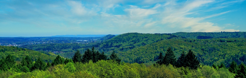 EWS-Wanderung "Zum höchsten Aussichtspunkt Saarbrückens"