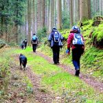 EWS-Wanderung "Durchs idyllische Ruhbachtal“