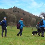 EWS Single-Wanderung "Wenn alle Brünnlein fließen..."