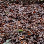 Single-Wanderung "Ach Maria - hilf!"