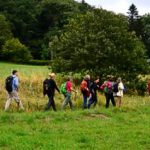 Abwechslungsreiches Wandermenu für Singles "Rund um Heckendahlheim"