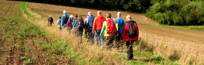 Gemütliche Single-Wanderung “Einfach mal gehen lassen…”