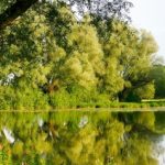 EWS-Wanderung "Die 5-Weiher-Tour bei Ottweiler"