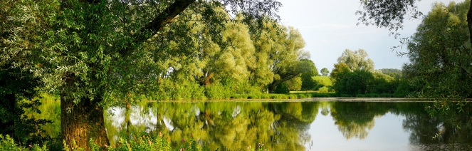 EWS-Wanderung "Die 5-Weiher-Tour bei Ottweiler"
