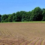 Single-Wanderung „Von Mammuts, Menhiren und mächtigen Mauern!“