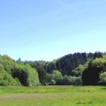 EWS Single-Wanderung "Durch die zauberhafte Landschaft bei Battweiler"