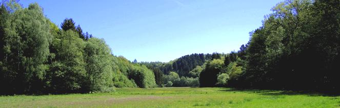 EWS Single-Wanderung "Durch die zauberhafte Landschaft bei Battweiler"