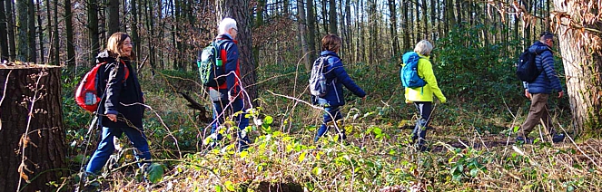 Ruhige EWS-Wanderung „Durch die Stille des Waldes“