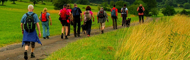 EWS-Wanderwoche 2021: "Rund(e) um Wurzelbach"