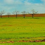 EWS-Wanderung "Über Wiesen, Felder und Weiden bei Eiweiler"