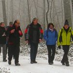 Abgesagt! EWS-Wanderung "Wälder und Weiher rund um St. Ingbert"