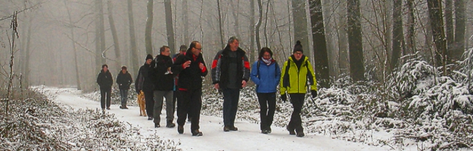 Abgesagt! EWS-Wanderung "Wälder und Weiher rund um St. Ingbert"