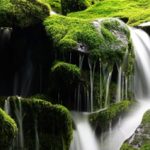 EWS-Single-Wanderung „Ganz schön Klamm!“