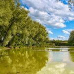 EWS Wanderung „Weiher und Seen soweit die Füße tragen....“