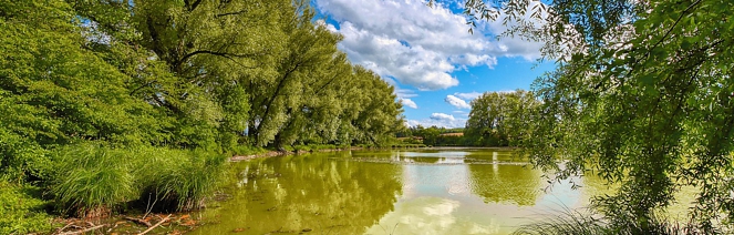 EWS Wanderung „Weiher und Seen soweit die Füße tragen....“