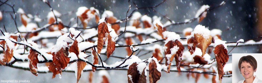 Wandern & Qi Gong der vier Jahreszeiten "Winter"