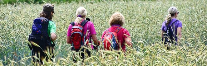 wander gruppe saarland erlebnis