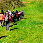 Genehmigt! EWS-Single-Wanderung „Frühling im Bliesgau“