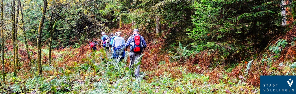 Wanderung der Stadt Völklingen: „In den grünen Norden”