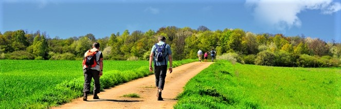 EWS "Wald- und Wiesenwanderung" bei Webenheim