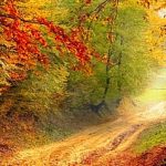 EWS-Wanderung "Rund(e) um die Halde Reden"