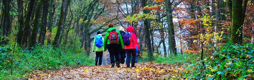 Abgesagt! EWS-Wanderung "Ausflug ins Pfälzer Mühlenland"