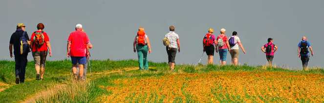 EWS Halbmarathon 2022: „Kelten, Römer und Barone im Bliesgau“