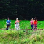 Abgesagt! Wandern & Qi Gong der vier Jahreszeiten "Sommer"