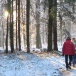 EWS Wanderung "Waldpartie bei Lautzkirchen"