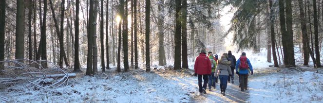 EWS Wanderung "Waldpartie bei Lautzkirchen"