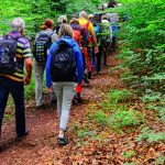 Wanderung der Stadt Völklingen: „Bürgerpark und Derler Kipp”