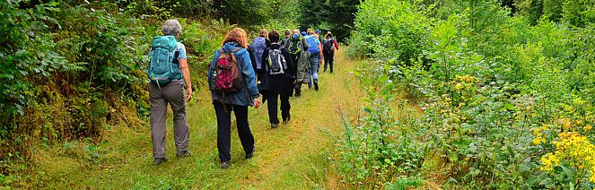 EWS Wanderung "Einfach mal gehen lassen!"