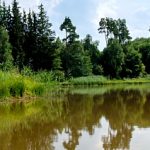 EWS-Single-Wanderung "Grottengute Tour am Hasselfurther Weiher!"