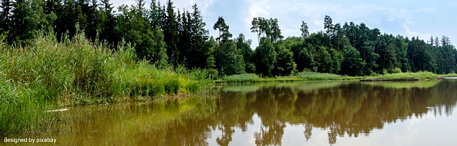 EWS-Single-Wanderung "Grottengute Tour am Hasselfurther Weiher!"