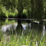 EWS-Wanderung "Durch die Auenlandschaft der Rossel"