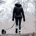 EWS Wandern mit Hund(en)