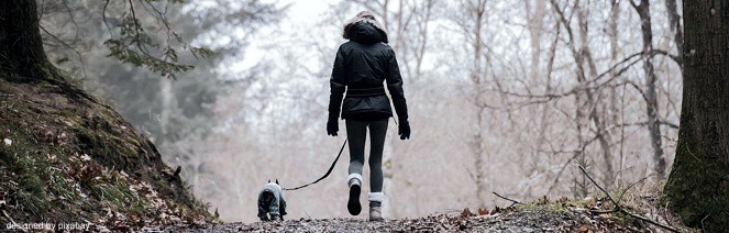 EWS Wandern mit Hund(en)