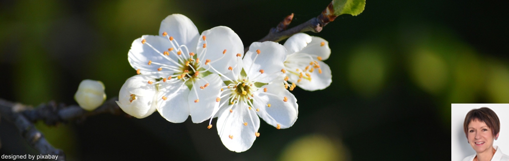 Wandern & Qi Gong der vier Jahreszeiten "Frühling"